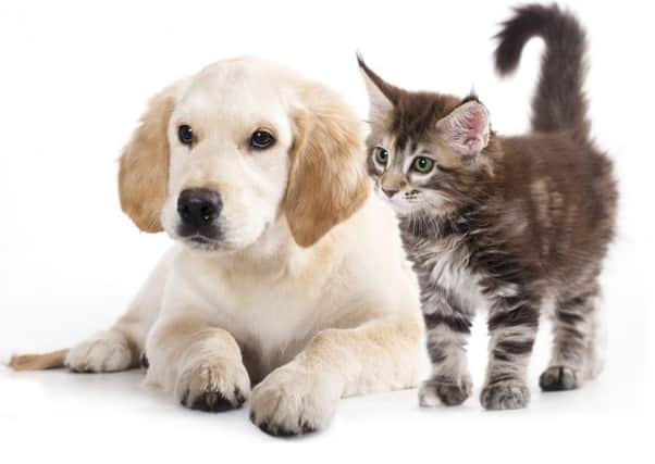 Top pet name for a dog is Poppy and the top pet name for a cat is Charlie.