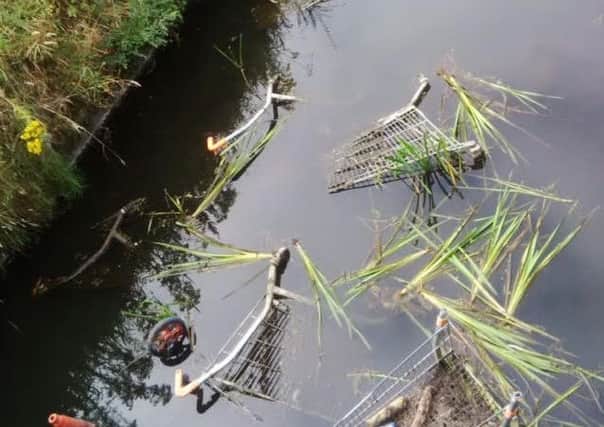Some of the items dumped in Craigavon Lakes