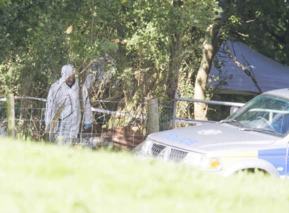 Forensic officers at the scene of the search for Arlene Arkinson.  Picture by Joe Bolan/Press Eye.
