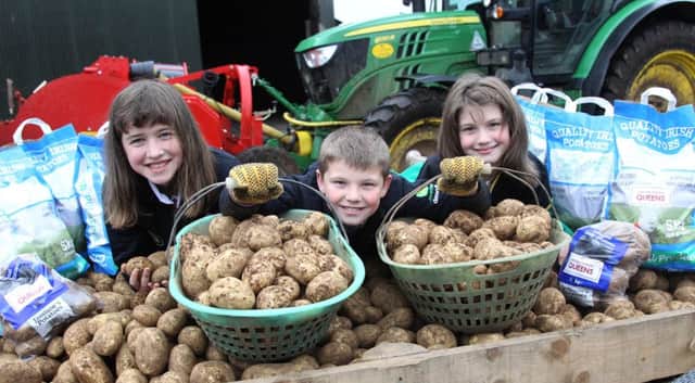 Niall,Chloe, and Kerry Jamison from Jamison Potatoes are all set for the potato Festival at the Giants Causeway on Saturday 1st  October supported by events on Thursday 29th and Friday 30th September. . PICTURE STEVEN MCAULEY/MCAULEY MULTIMEDIA