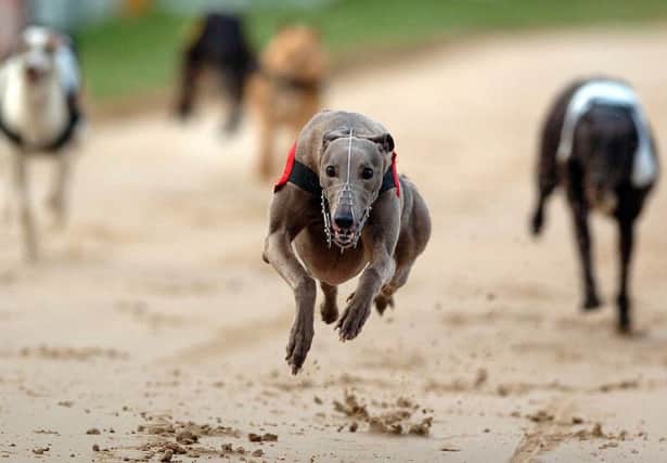 The final of the track lotto sprint over 350 yards will be the main event on a 12 race card at Lifford Greyhound Stadium on Saturday.
