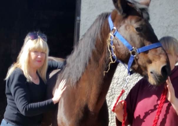 Valerie Westfield using Reiki to treat a horse