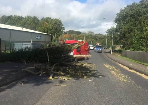 Tree falls blocking road outside Cookstown