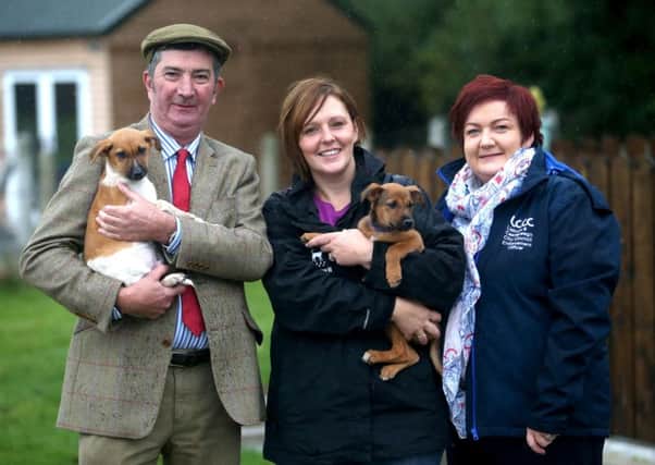 Councillor James Baird, Chairman of the Council's Environmental Services Committee is pictured with pups Benny and Anni alongside Karen Matthews, Almost Home Animal Rescue and Joanne MacAskill, Senior Dog Warden.