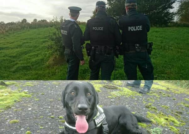 Police and PD Jasper  carry out searches in Craigavon