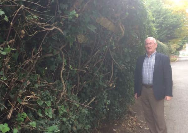 Sydney Anderson MLA pictured with the hedging at Church View Villas