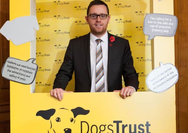 Gary Middleton MLA backing the Dogs Trust campaign at Stormont. INLS 47-701-CON