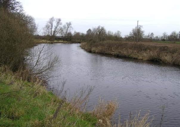 The fish kill happened on a tributary of the Moyola River in Co Londonderry.