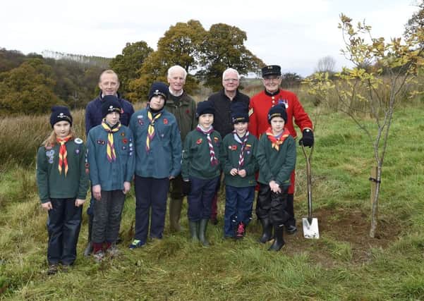 Chelsea Pensioner Walter Swan took part in a tree-planting ceremony at the Woodland Trust's Brackfield Wood.
Also picturedare  Patrick Cregg, Woodland Trust, Denis Desmond CBE, Lord-Lieutenant of County Londonderry, Piper, William Sayers and children from local Scout Groups. Picture: Michael Cooper