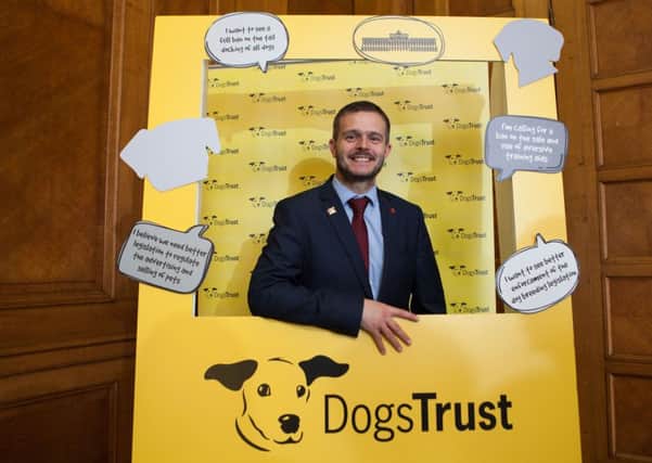 Animal charity officials discuss canine legislation with Robbie Butler MLA at Northern Ireland Assembly event.