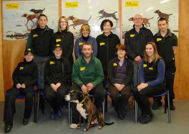 Back row L-R: Julie Tweed (Receptionist), Stephanie Scott (Home Form Home Coordinator), Oonagh Phillips (Manager), Ann Owens (Campaigns assistant), Ronnie Milsop (Campaigns Manager), Michael Faith (Canine Carer). Front Row L-R: Maura Cushenan (Training and Behavioural Assistant), Laura Phillips (Canine Carer), Steven McNeilly (Canine Carer 2 Rehomer), Sponsor Dog Eric (Collie x Staffordshire Bull terrier), Marbeth Gilmour (Assistant Manager, Operations) and Sarah Park (Assistant Manager, Admin)