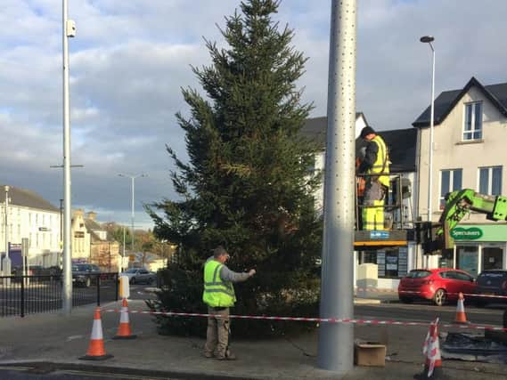 Workers erecting the Christmas tree at the Diamond