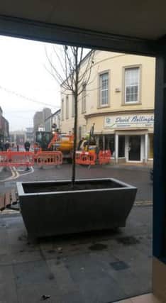 One of the planters which have been described as 'silver skips' by locals on social media