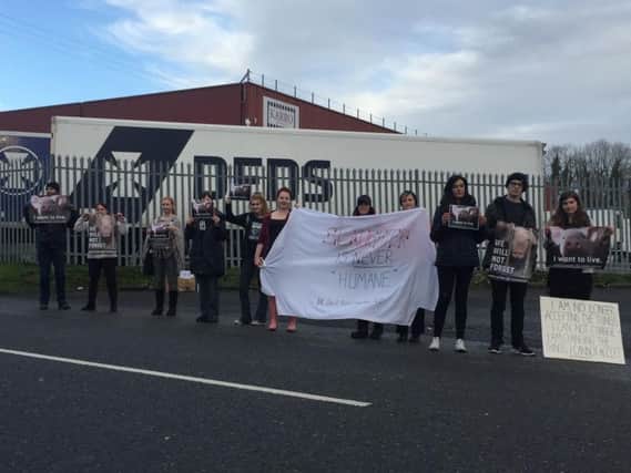 Animal rights activists protest outside Karro Foods