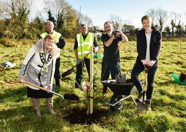 The Mayor of Mid and East Antrim Borough Council officially launched National Tree Week 2016 by planting the first fruit tree in the new Greenisland Community Orchard.