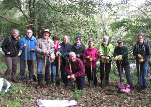 The Belfast Hills Partnership needs more volunteers to help with projects in 2017. INNT 51-834CON