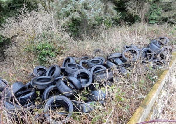 Tyres dumped at Belshaw's Quarry National Nature Reserve near Lisburn.