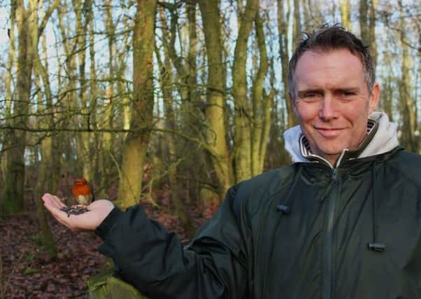 Stephen O'Neill feeds a robin at the spot his family decorated a tree in his memory