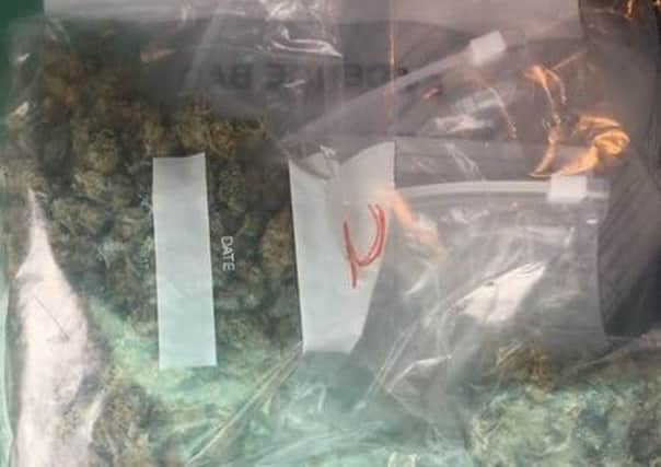 Cannabis seized by the PSNI. INBT 02-800CON
