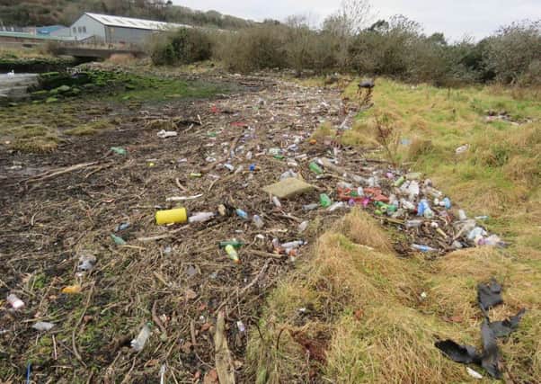 The banks of Larne Lough pictured before the previous clean-up.