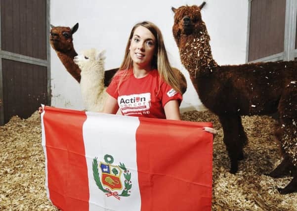 Action Cancer Events Assistant, Stephanie Ellis, meets local alpacas to encourage people to sign up to Action CancerÃ¢Â¬"s Inca Trail Trek taking place in November 2017.  This 5 day trekking challenge consists of hiking through sub-tropical vegetation, familiarising yourself with the local alpacas and embracing snow-capped peaks on this adventure through the Andes, all to raise funds for Action Cancer, the only charity offering free breast screening in Northern Ireland.
