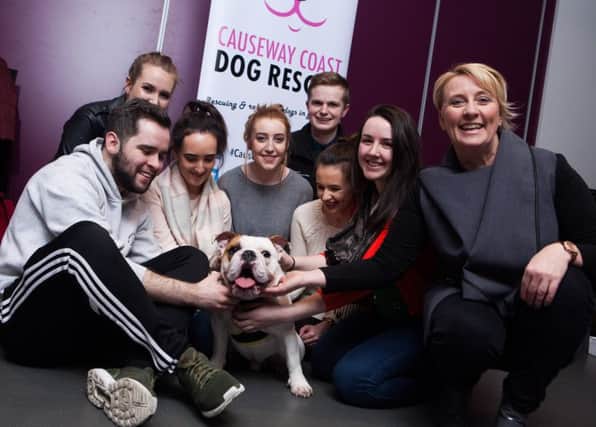 Tara Cunningham seen here with Harry as one of the Causeway Coast Dog Rescues dog which took part in the Students Union Coleraine Campus Stress Relief Week event.