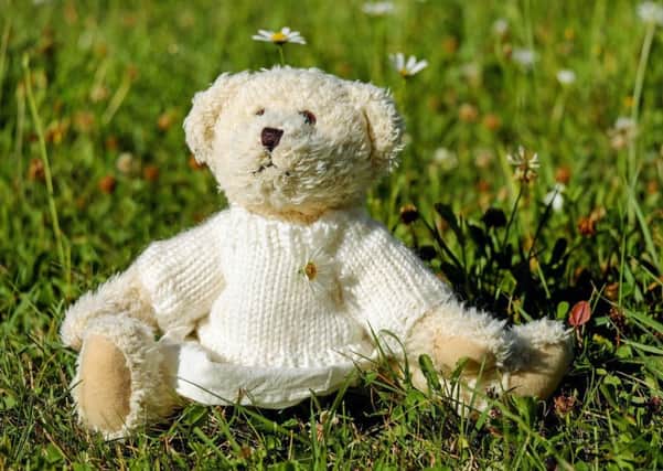 Teddy tantrums are more common than you would think.