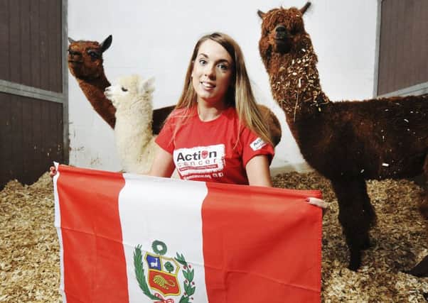 Action Cancer Events Assistant Stephanie Ellis, meets local alpacas to encourage people to sign up to Action Cancer's Inca Trail Trek  to raise funds for Action Cancer. INLT-03-717-con