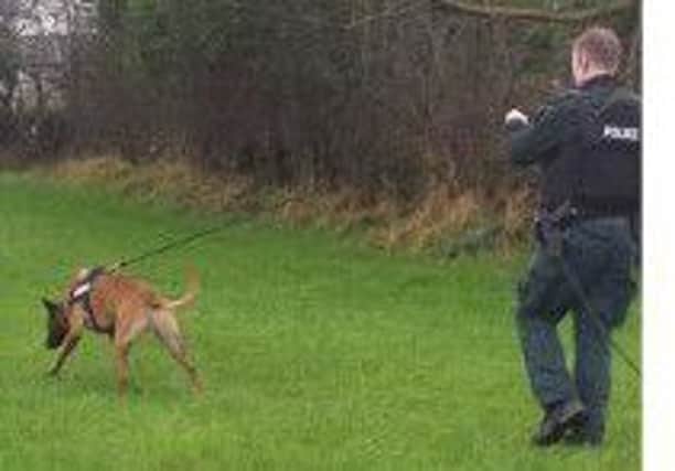 Police pictures of the search for a 'wanted male' in the Coleraine area. INLT-04-716-con