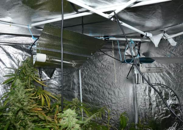 suspected cannabis factory at premises in the Moira area.