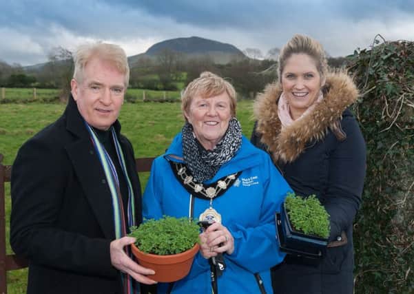 Mid and East Antrim Borough Mayor, Councillor Audrey Wales MBE joined Sandy Wilson from Broughshane and District Community Association and Dawn McKeown from Raceview Mill, Broughshane to admire some traditional Shamrock and to urge everyone to come along on Friday 17 March 2017 and enjoy this challenging hike along the slopes where the Saint reputedly tended sheep.