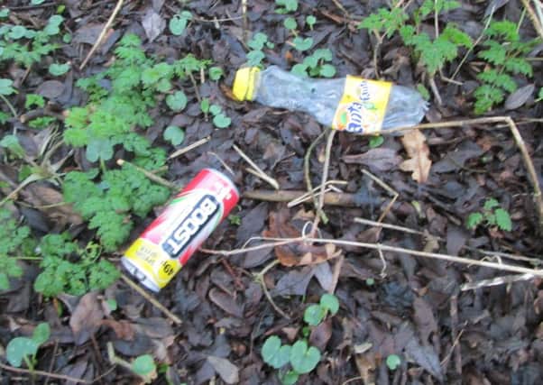 Streets and parks are failing to meet litter standards.