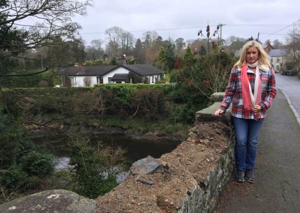 Jo-Anne Dobson is calling on Transport NI to assess the damage caused to the historic bridge at Tullylish.