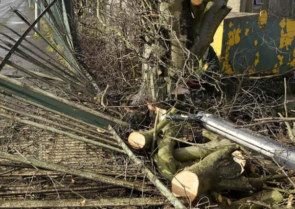 Storm Doris hit the province and brought down a number of trees and disrupted local power supplies.
Photograph by Presseye/Stephen Hamilton