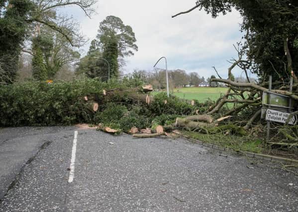 A large tree has completely blocked the road between Banbridge and Gilford from approximately 7am. 

Picture: Philip Magowan / PressEye