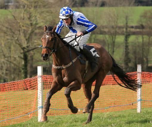 Ben Crawford and Western Honour, trained and owned by his brother Stuart, win the Vintners Cup in the Maiden Race for 5-Y-O Geldings sponsored by Markethill Livestock and Farm Sales at Tynan and Armagh Hunt Point to Point races.