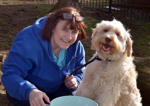 Alison Lennon from the Animal Support Trust with her dog A.J. at the launch of a Doggie Tea Party which will be held at the Cricket Pavillion in Lurgan Park on Saturday 25th March. INLM11-212.