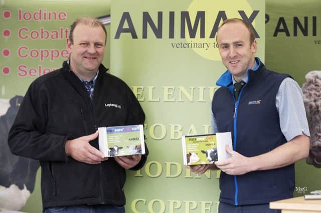 Neill Acheson, right, Animax, discusses sponsorship of the NI Simmental Club's spring show and sale at Dungannon on 24th  March, with chairman Matthew Cunning.