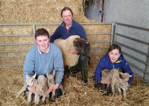 Pictured, above and with their hands full, are: Ryan Kelly, aged 16 years, farm owner Thomas Kelly, and Russell Kelly, aged 13 years.