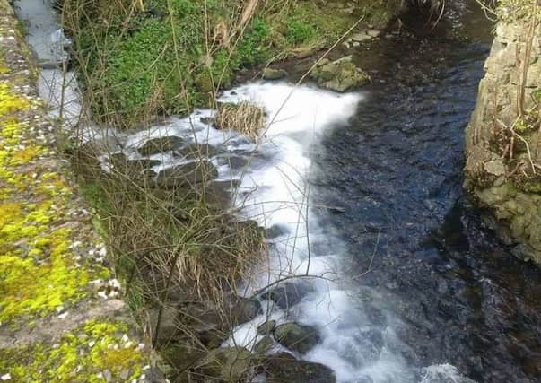 Recent pollution at the Three Mile Water. Pic courtesy of Three Mile Water Conservation and Angling Association.
