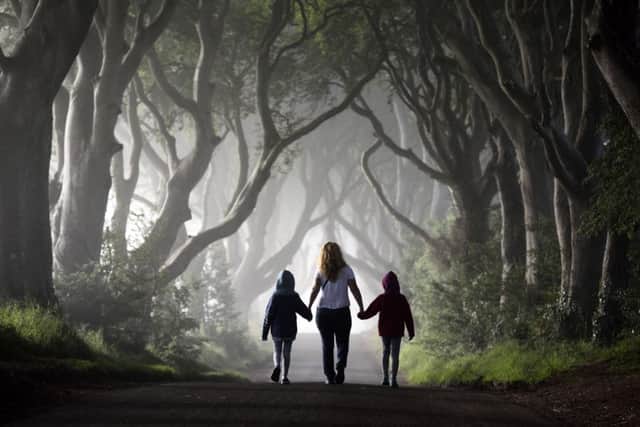 Walkers at the Dark Hedges, near Ballymoney. Picture: Michael Cooper. INBM 14-703-CON