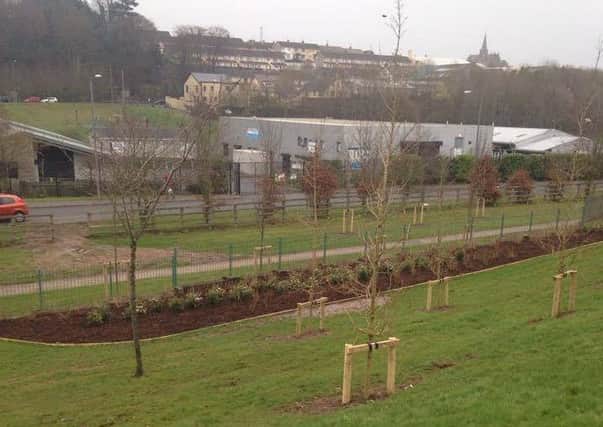 News trees and shrubs have been planted