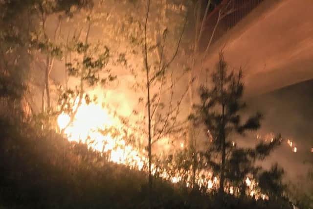 Fire at Craigavon last night