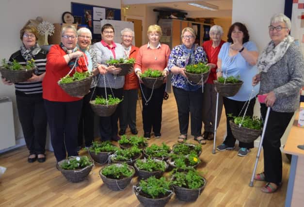 Harryville Partnership Initiative are backing Ballymena in Bloom.