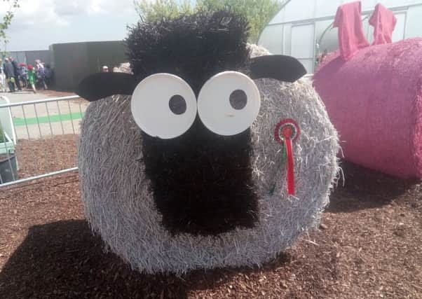 The YFCU Horticulture committee came up with the idea to make colourful bails in the shape of farm animals to add an extra dimension to Balmoral Show.