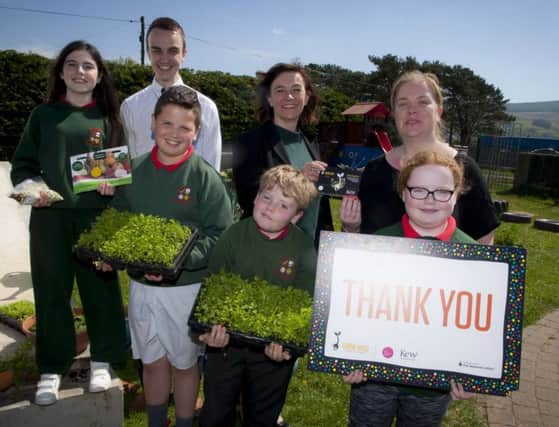 WILD FLOWERS. . . .Pupils from St. AidanÃ¢Â¬"s PS, Magilligan pictured on Thursday Ã¢Â¬Ãœplanting wild flower seedlingsÃ¢Â¬" at the school. The seedlings were supplied by Grow Wild NI and HM Prison, Magilligan, in a joint effort to provide active and meaningful work for inmates whilst also doing something positive in communities throughout Northern Ireland. Included front from left, pupils Erin Mitchelson, Cassie Deeney, Charlie McDevitt and Matthew Ferris. At back from left are Mr. Tony Glendenning, teacher, Ms. Stephanie Baine, manager, Grow Wild NI, and Ms. Lisa Wilson, Principal, St. AidanÃ¢Â¬"s PS.