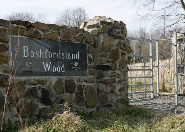 Bashfordsland Wood. INCT 15-464-RM