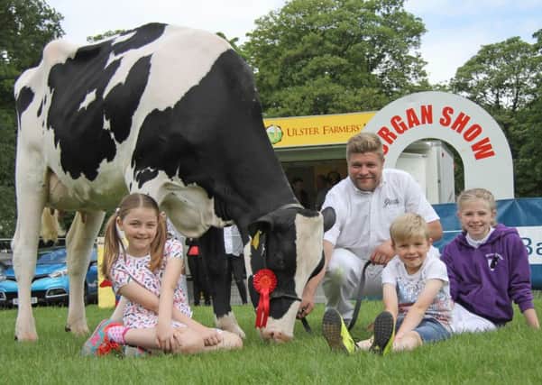 The Haffey family from Portadown, Simon, Isla, Lily and Jude, with their prize winning Holstein cow at Lurgan Show. Picture: Julie Hazelton
