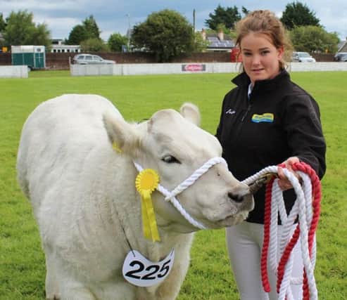 Jessica Morgan with a commercial beef heifer, entered for Ballymoney Show 2017. The animal is owned by Gareth Elliott from Fermanagh
