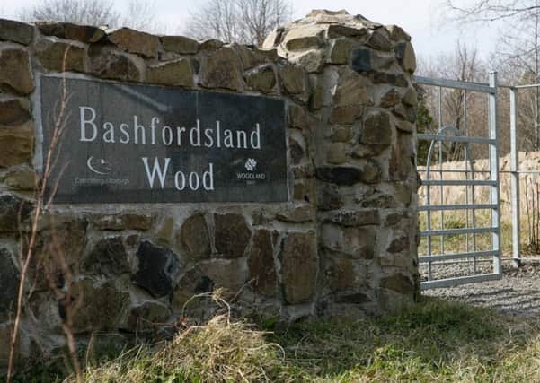 Bashfordsland Wood. INCT 15-464-RM